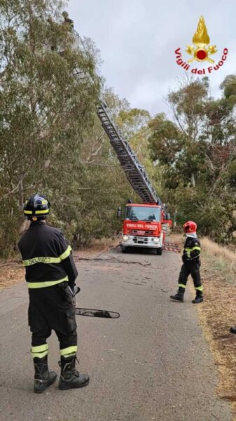 maltempo alberi caduti vvf vigili fuoco civitavecchia pompieri 1 337x600.jpeg