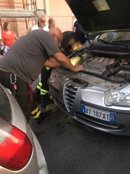 micio gatto civitavecchia polizia vvf vigili fuoco pompieri 21 450x600.jpg