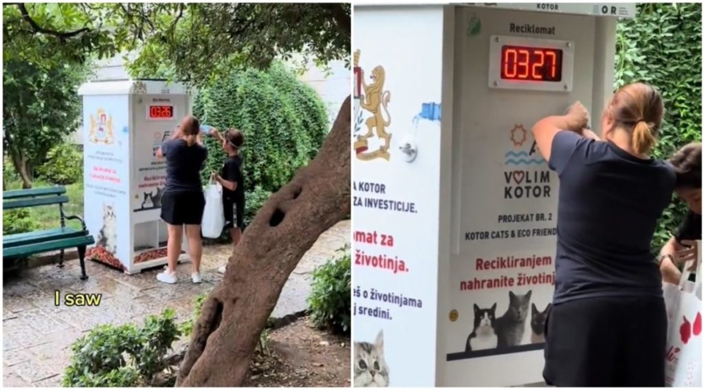 montenegro gatti.jpg