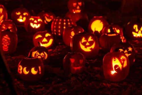 pumpkin m.jpg