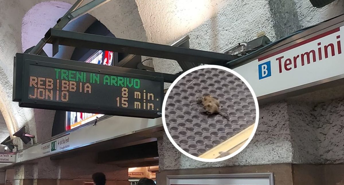 roma topi metro.jpg