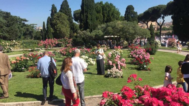 roseto comunale di Roma foto.jpg