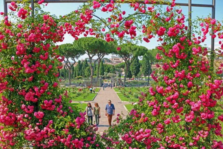 roseto di roma.jpg