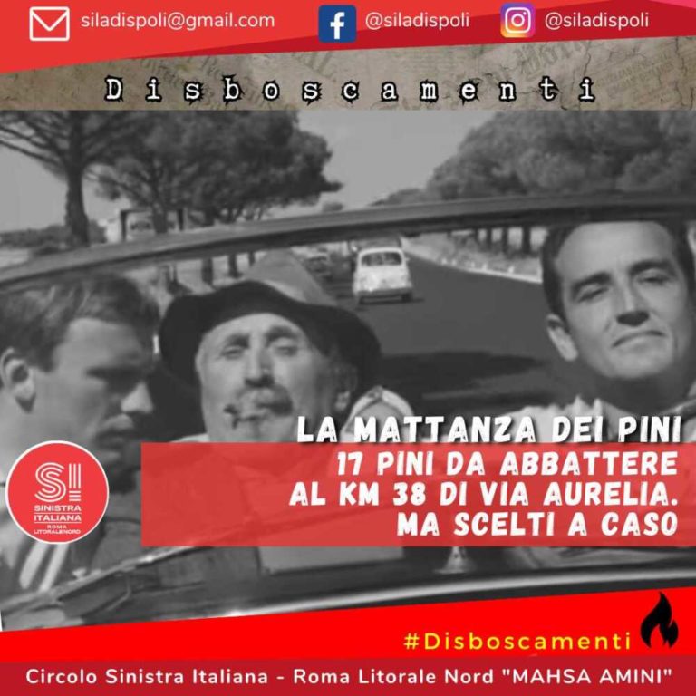 si ladispoli pini sorpasso.jpg