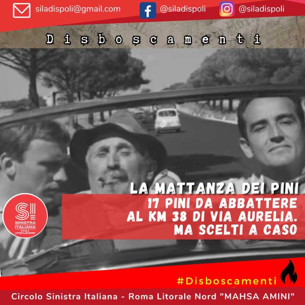 si ladispoli pini sorpasso.jpg