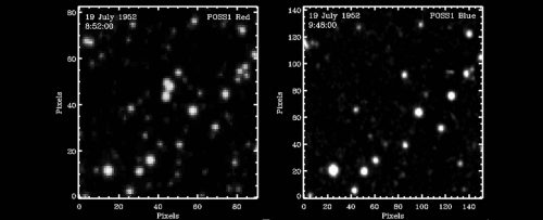 stelle 500x203.jpg