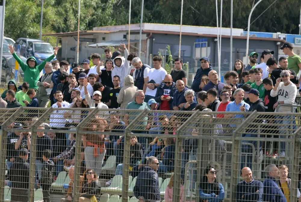 tifosi cerv6.jpg