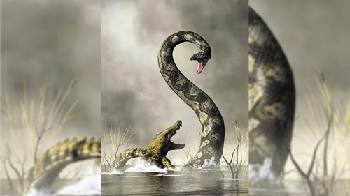 titanoboa m.png