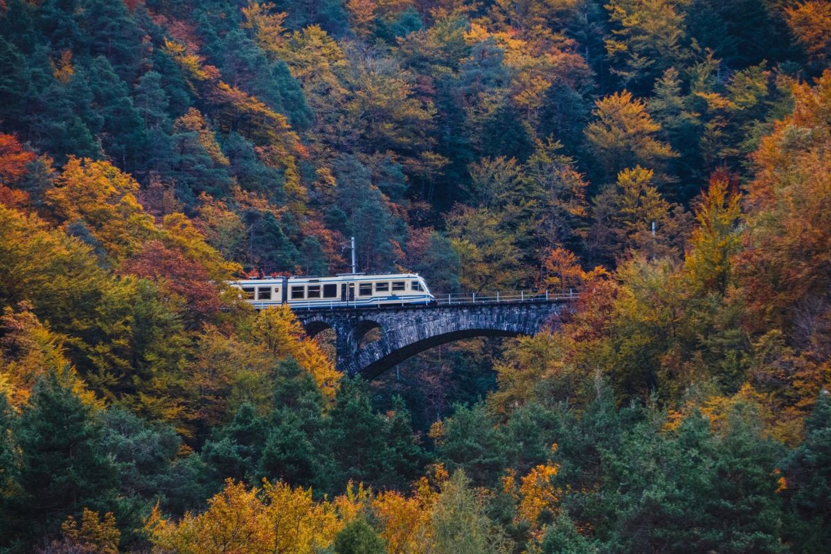 Torna il Treno del Foliage, un viaggio unico tra borghi pittoreschi e boschi dai colori autunnali 1 treno foliage.jpg