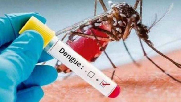 virus dengue roma contagio.jpg