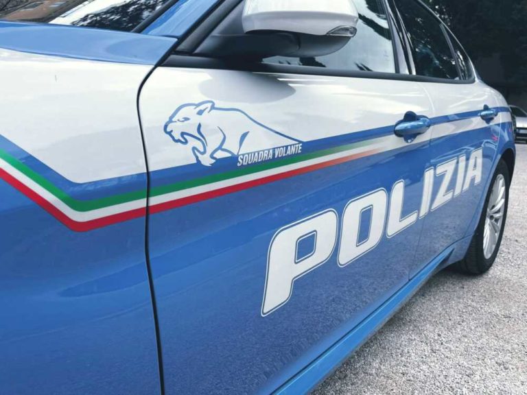 volante polizia.jpeg