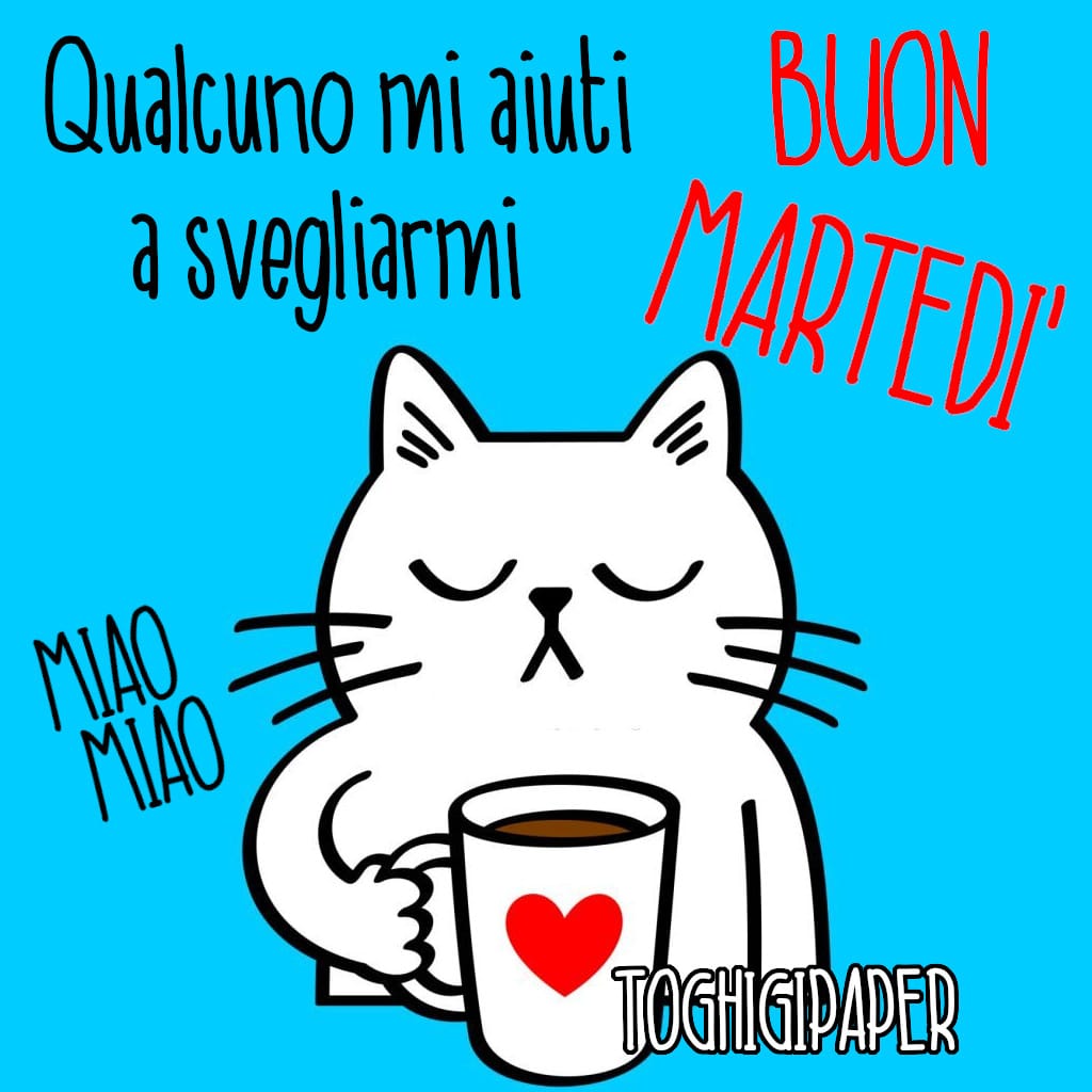 Frasi e immagini, Musica del 28 novembre 2023: Buongiorno e Buon Martedì 1 1.jpg