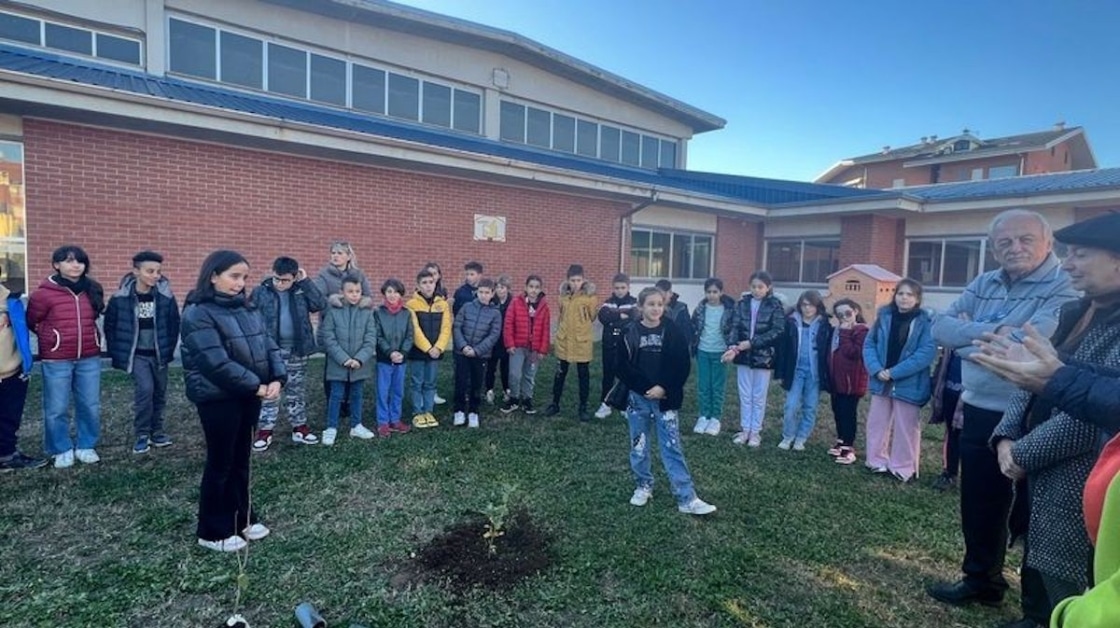 “Caselle: Un Albero Omaggio a Laura, Piantato Vicino all’Asilo per Onorare la Sua Memoria” 1 22Caselle Un Albero Omaggio a .jpg