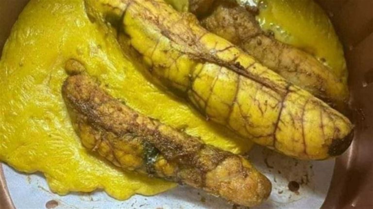 22Mangia questo piatto e scopri.jpg