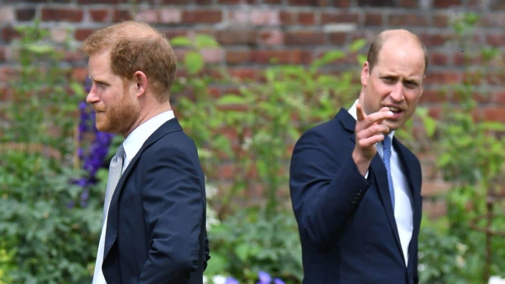 22Principe William Ignoro i Mes.jpg
