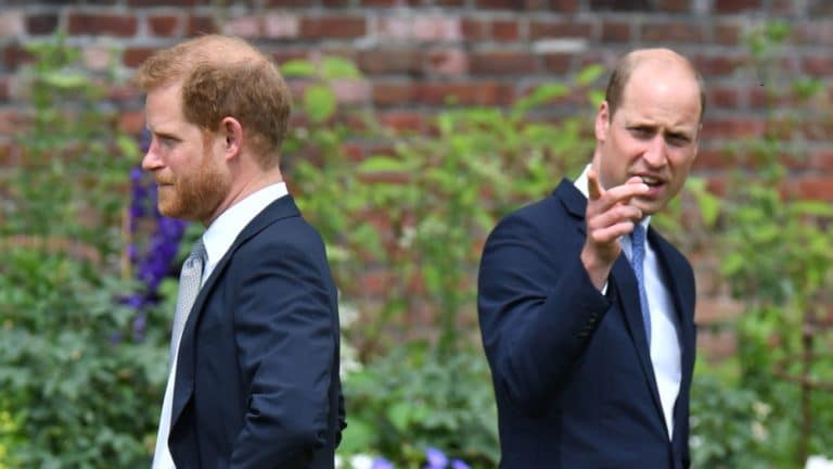 22Principe William Ignoro i Mes.jpg