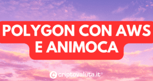 ANIMOCA AWS POLYGON 300x160.png