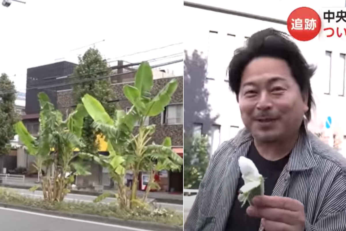 Banane strada.jpg