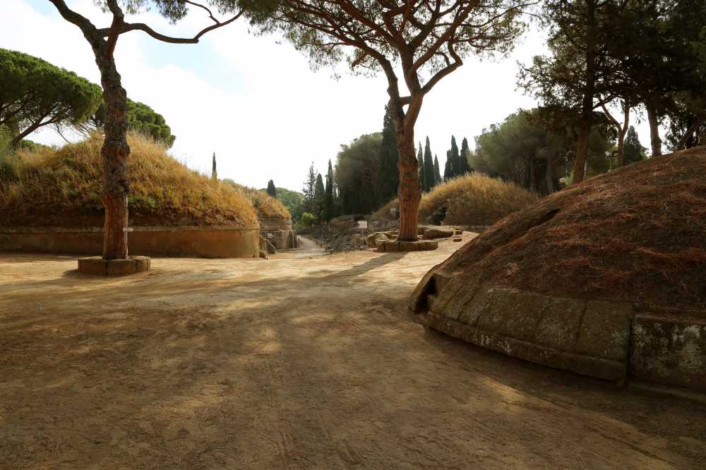 Visite guidate e aperture straordinarie a Cerveteri per la Festa dell’Olio, il programma completo 1 Cerveteri necropoli della banditaccia via sepolcrale principale 01.jpg