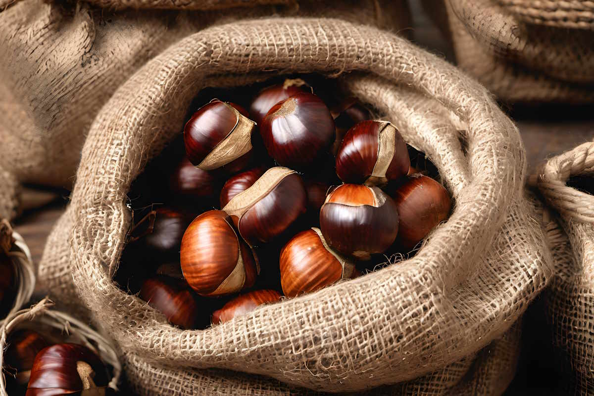Come conservare le castagne: 5 modi per averle a disposizione tutto l’anno 1 Conservare le castagne.jpg