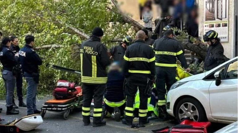 Donna morta albero Roma.jpg