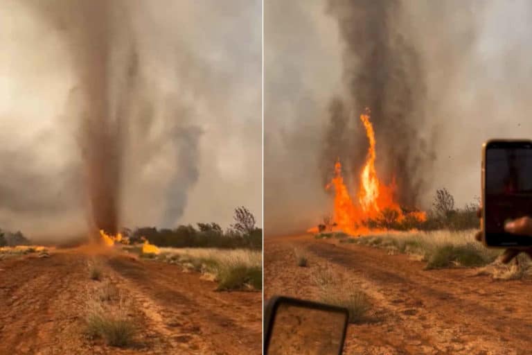 Firenado.jpg