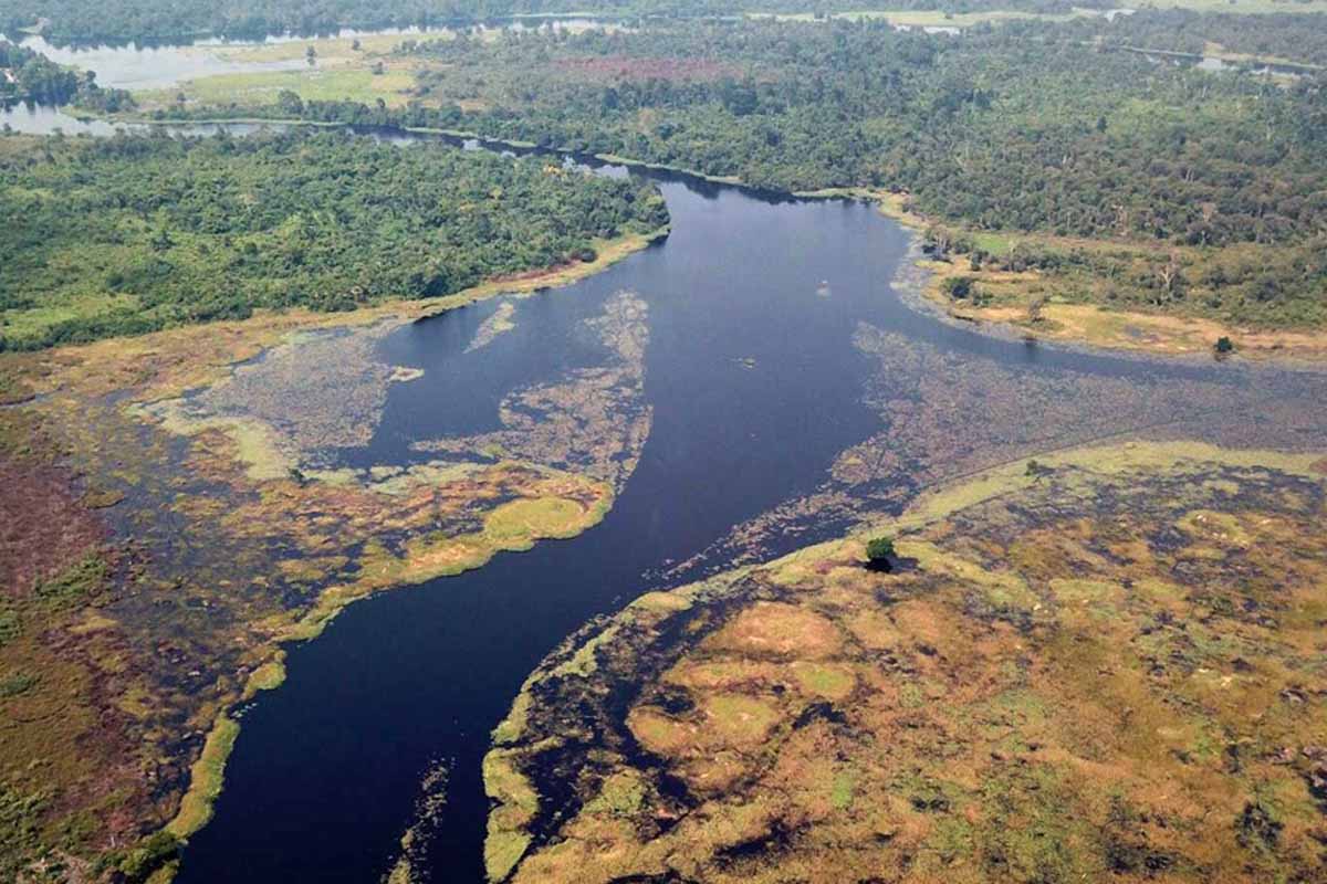 Questo è uno dei fiumi più “oscuri” del mondo: le sue acque sono talmente nere da aver stupito anche gli scienziati 1 Fiume Ruki River.jpg