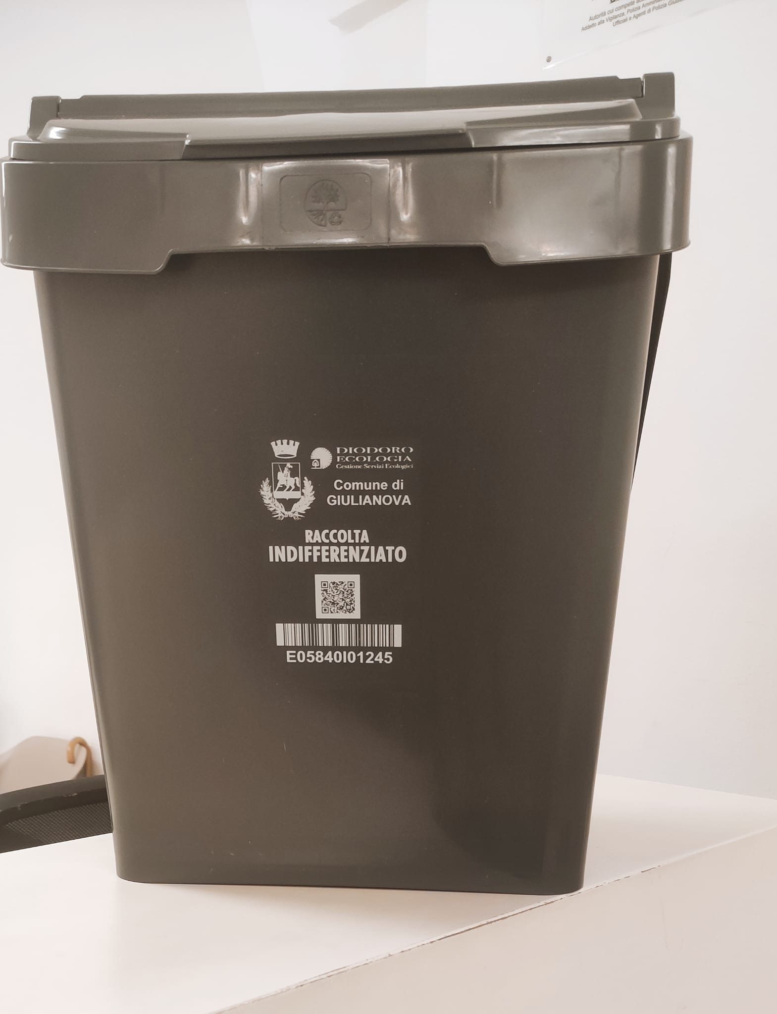 Foto contenitore.jpg