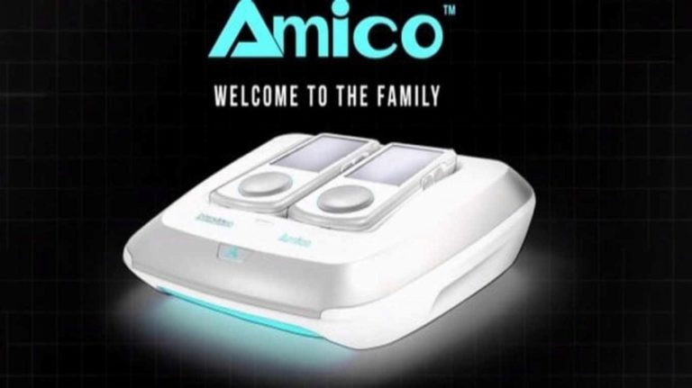 Intellivision Amico levoluzi.jpg