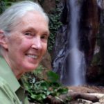 Jane Goodall.jpg