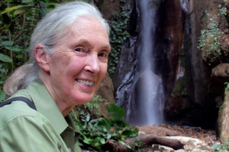 Jane Goodall.jpg