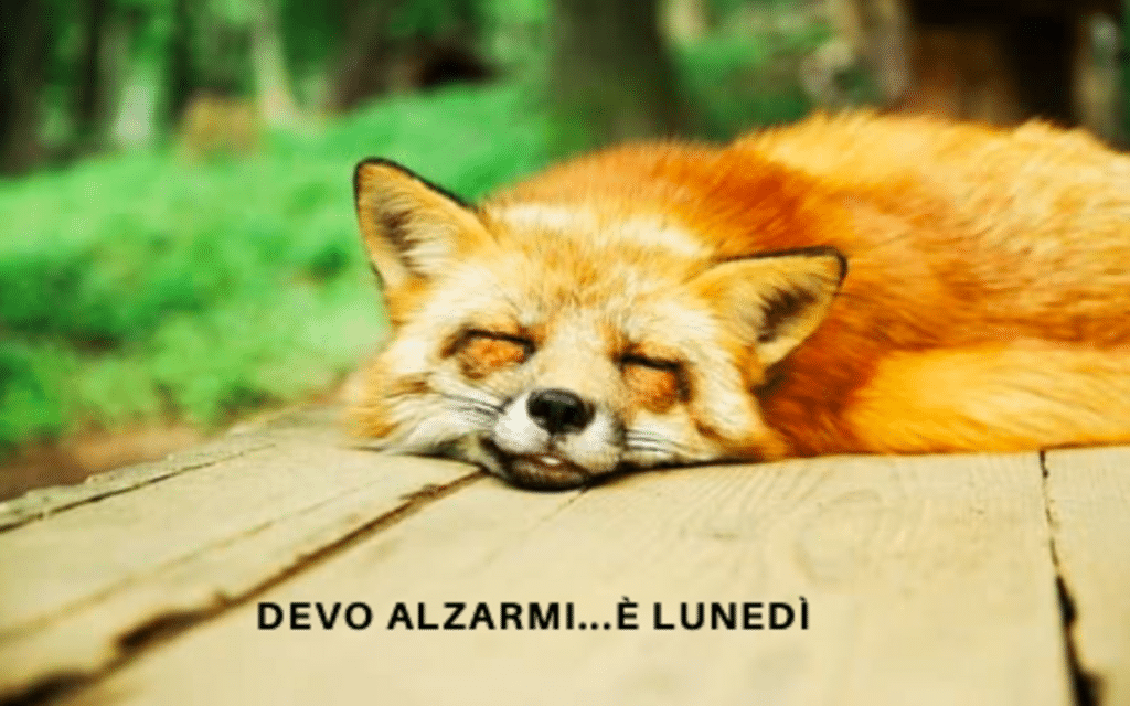 Le migliori frasi e immagini d 4.png