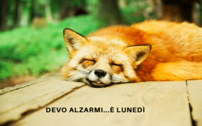 Le migliori frasi e immagini d 4.png