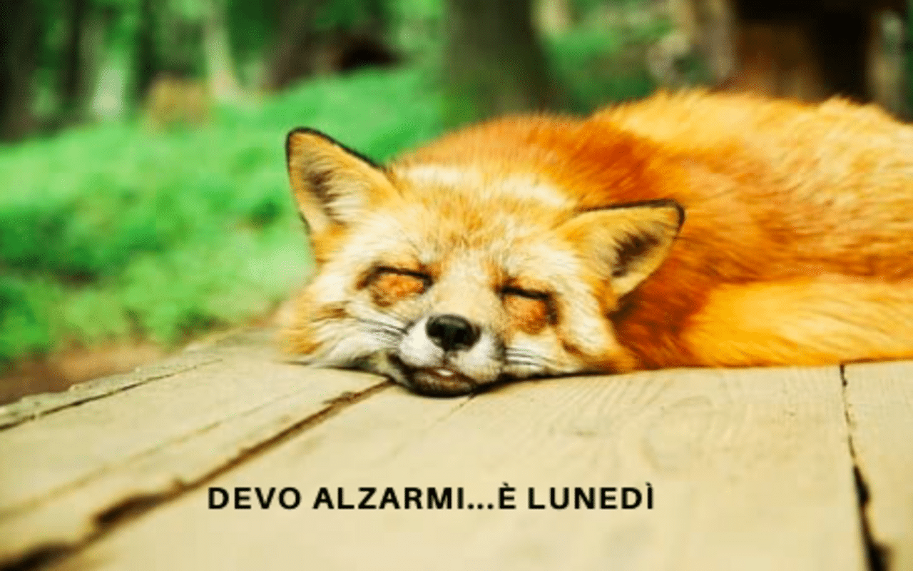 Le migliori frasi e immagini di Buongiorno e Buon Lunedì del 20 novembre 2023 – L’Argomento Quotidiano 1 Le migliori frasi e immagini d 4.png