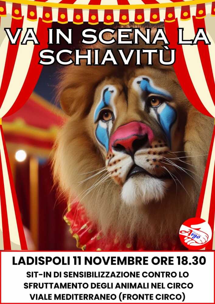Locandina sit in circo ladispoli.jpg