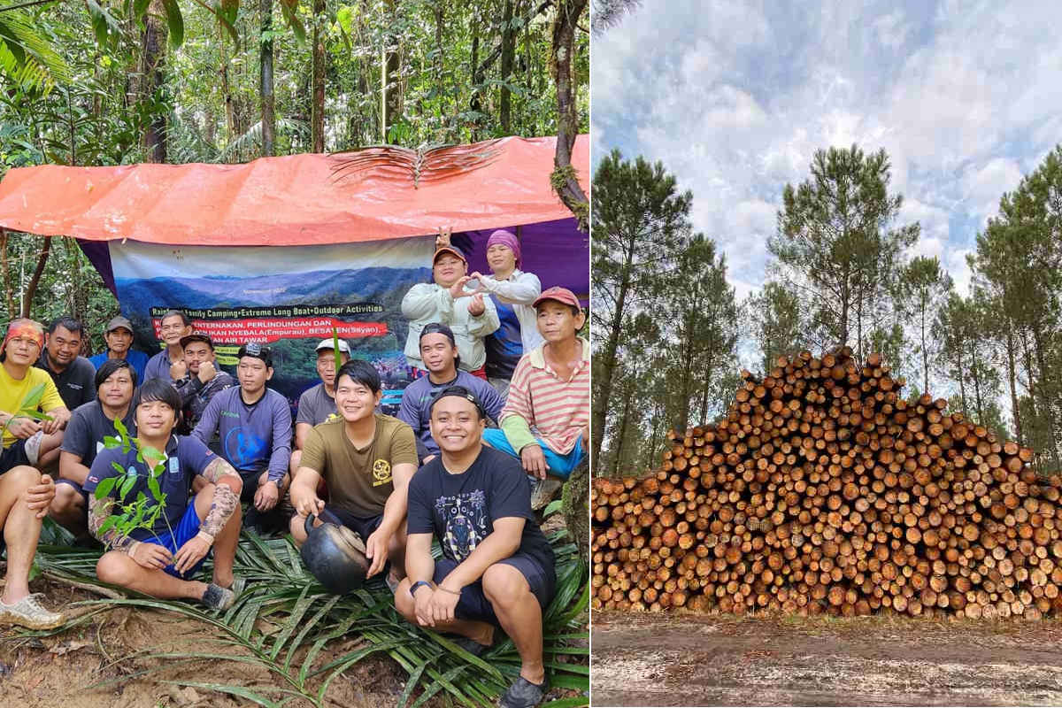 Vittoria storica degli indigeni malesi contro il gigante del legname che sfrutta le terre ancestrali 1 Malesia lotta legno 1.jpg