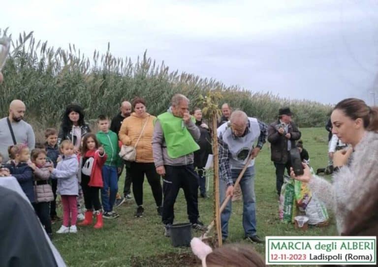 Marcia degli Alberi 12 11 2023 Ladispoli RM F02 849x600.jpg