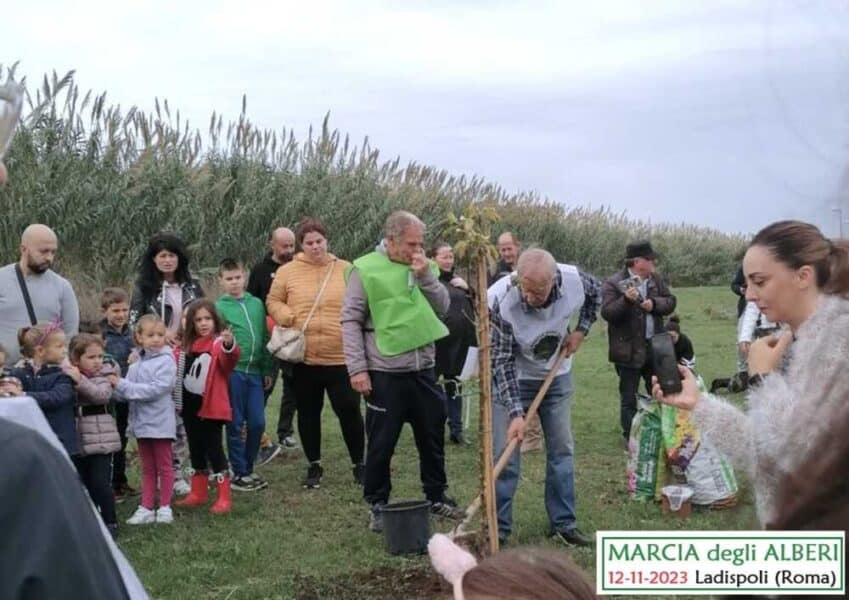 Grande partecipazione alla “Marcia degli Alberi” di Ladispoli 1 Marcia degli Alberi 12 11 2023 Ladispoli RM F02 849x600.jpg