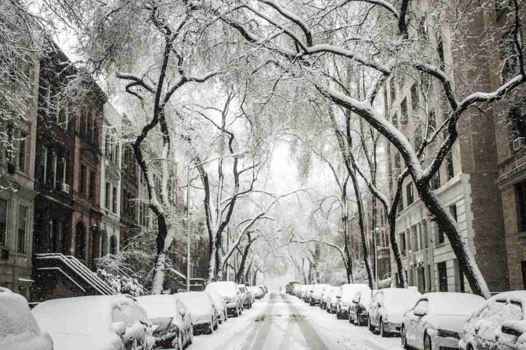 Neve.jpg