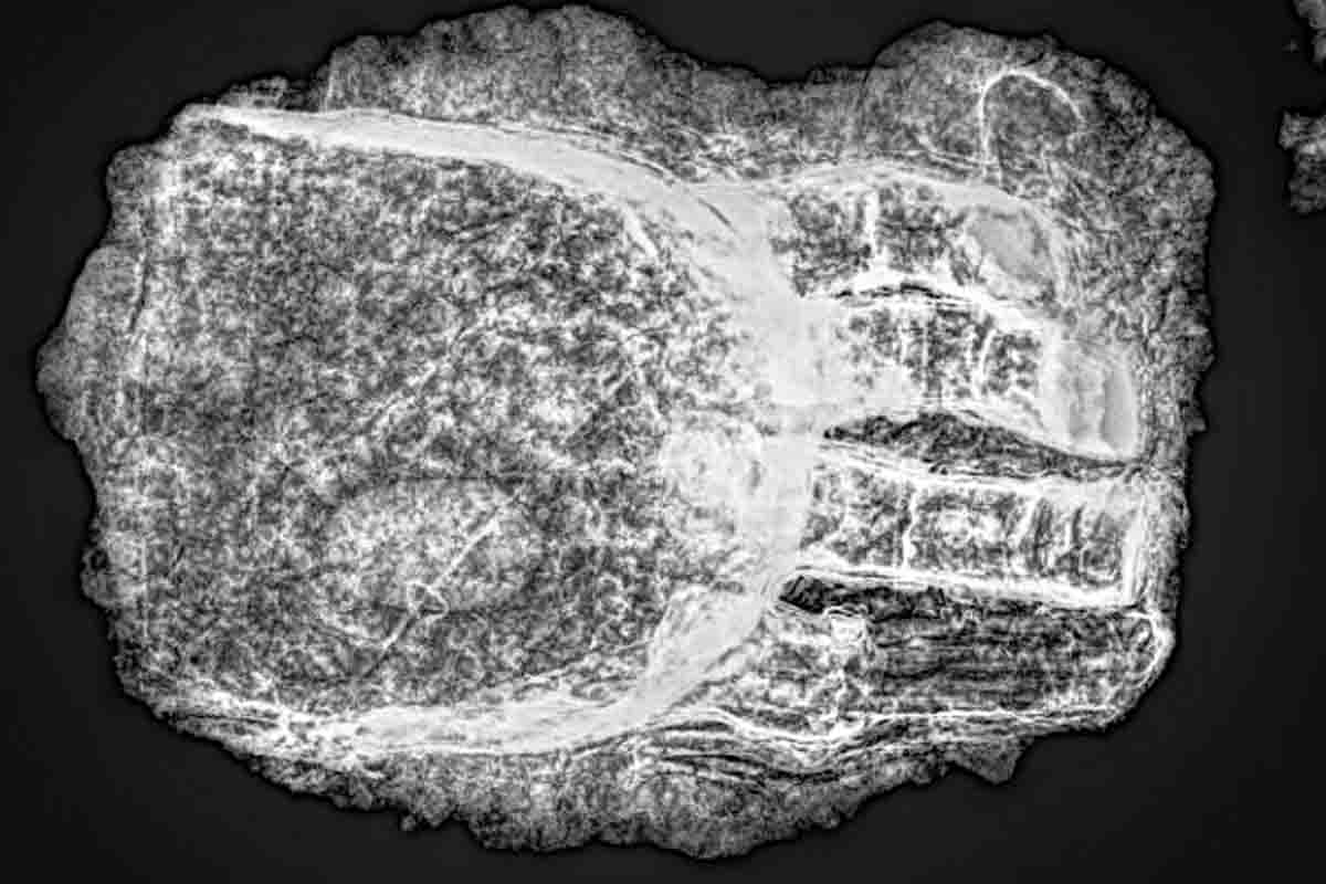 Cosa ci fa questa misteriosa mano artificiale su uno scheletro di 600 anni fa? 1 Protesi di 600 anni fa.jpg