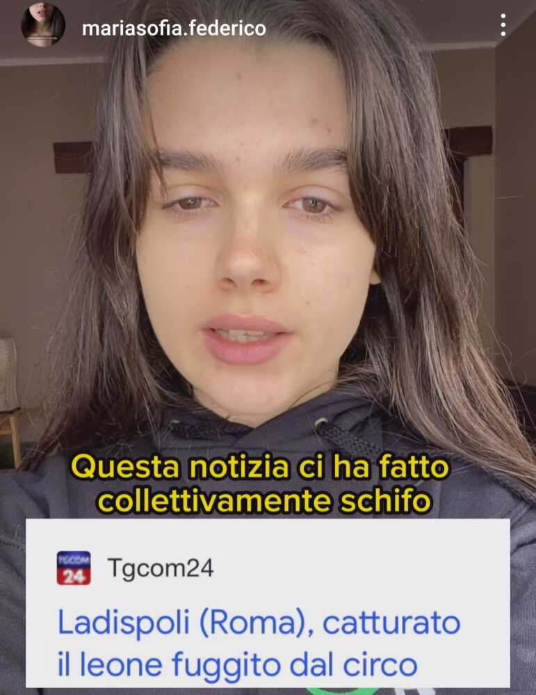 Leone a Ladispoli, la sex worker Maria Sofia: “Notizia che ci ha fatto schifo” 1 Screenshot 2023 11 12 13 23 19 88 1c337646f29875672b5a61192b9010f9.jpg