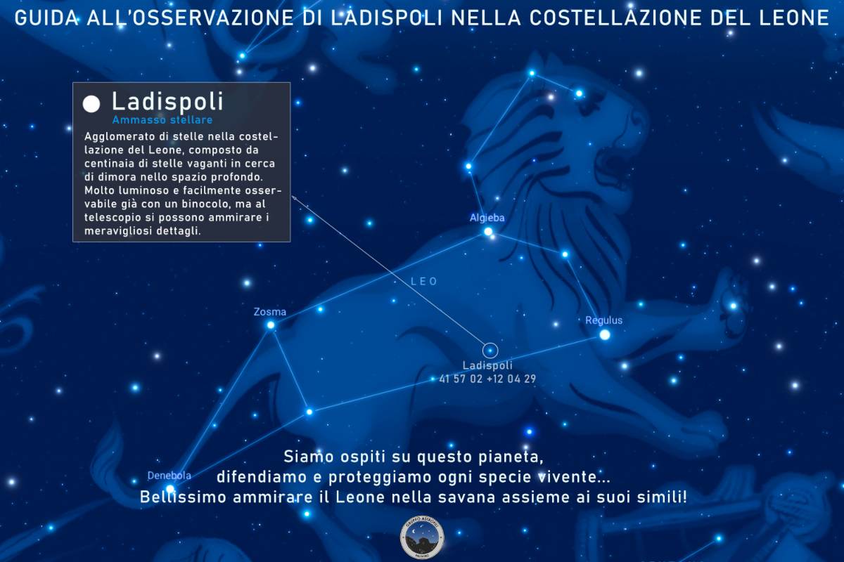 Stelle leone.jpg