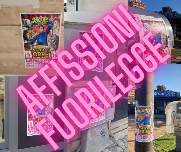affissioni fuorilegge circo ladispoli.jpg