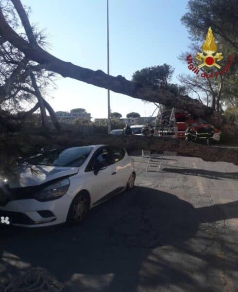 alberi caduti su auto roma vvf vigli fuoco pompieri 3 490x600.jpeg