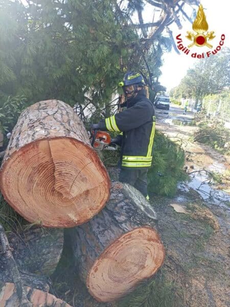 alberi caduti vvf vigili fuoco pompieri 450x600.jpg