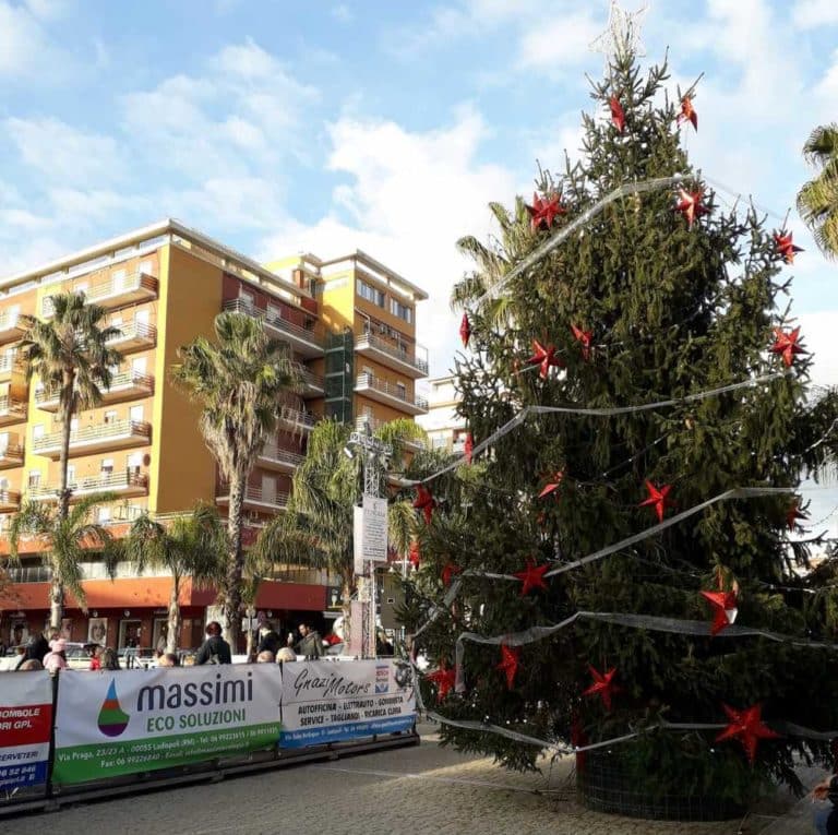 albero natale ladispoli piazza rossellini.jpg