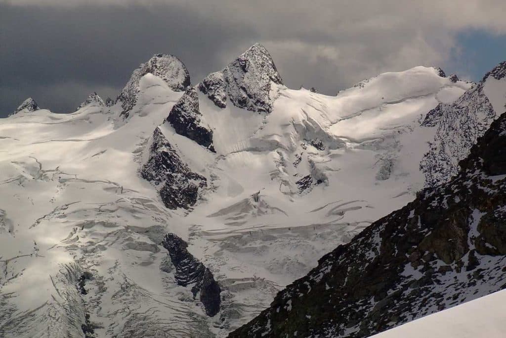 alpi cover.jpg