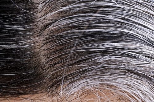 capelli grigi 1 500x331.jpg