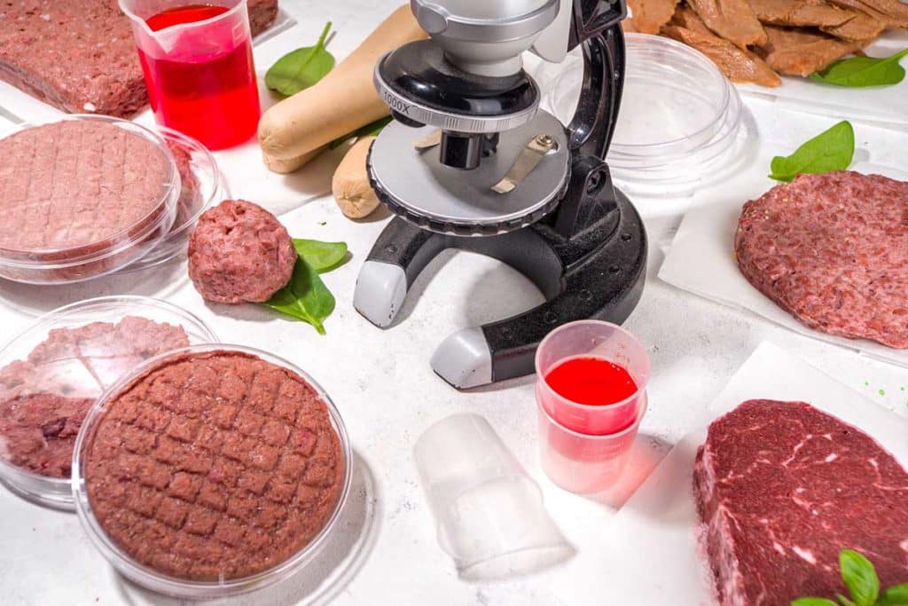 carne coltivata.jpg