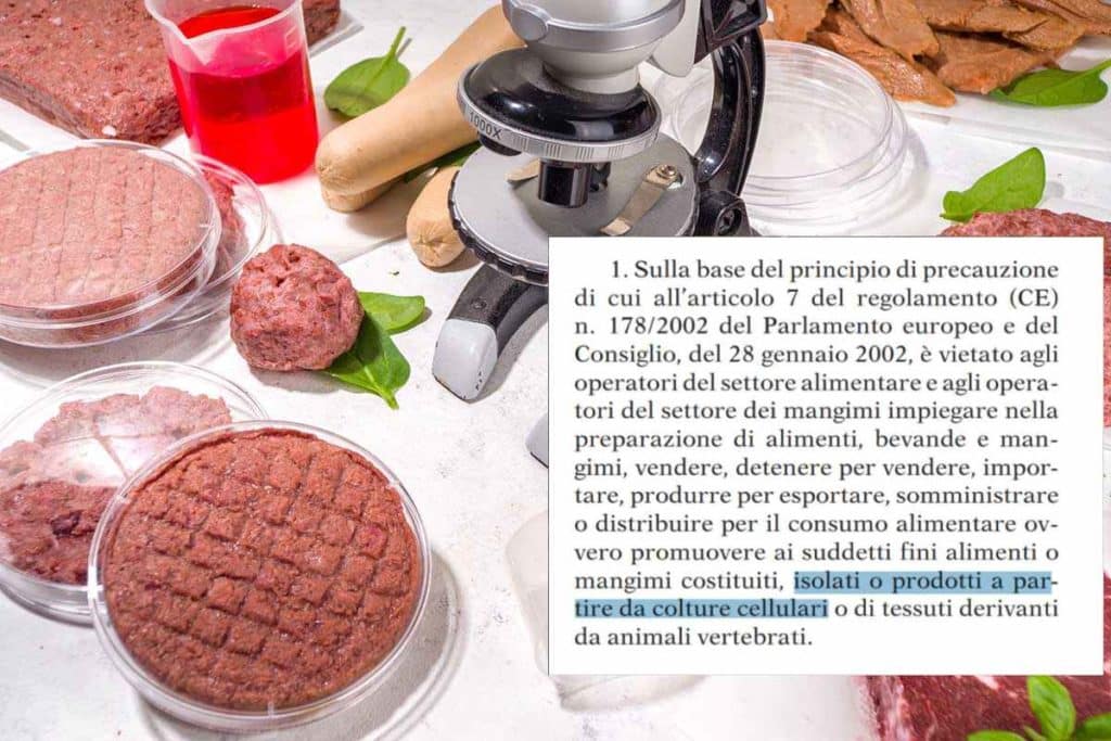 carne testolegge.jpg
